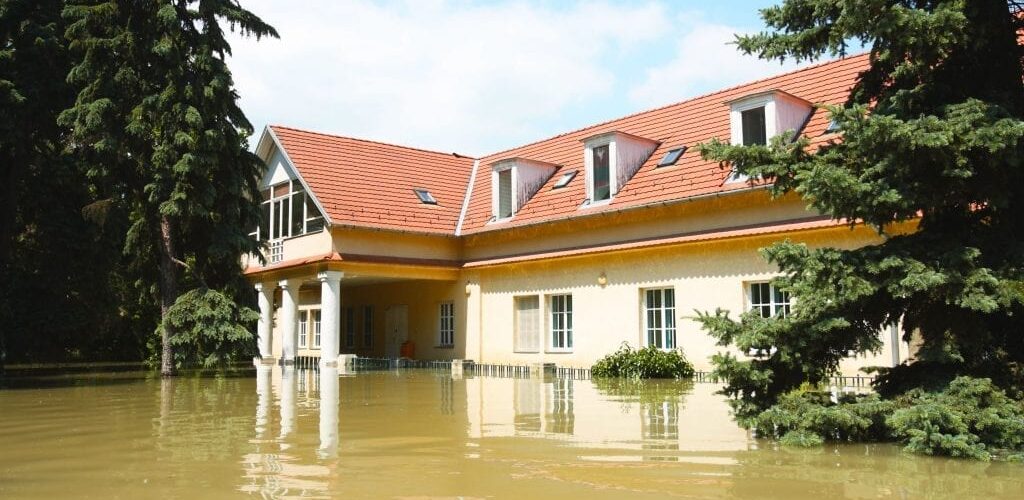 Flood Remediation Services