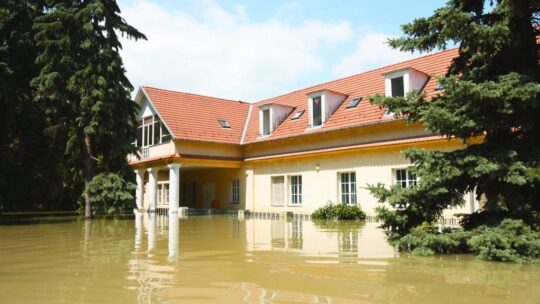 Flood Remediation Services