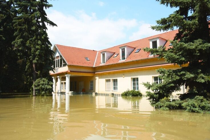 Flood Remediation Services